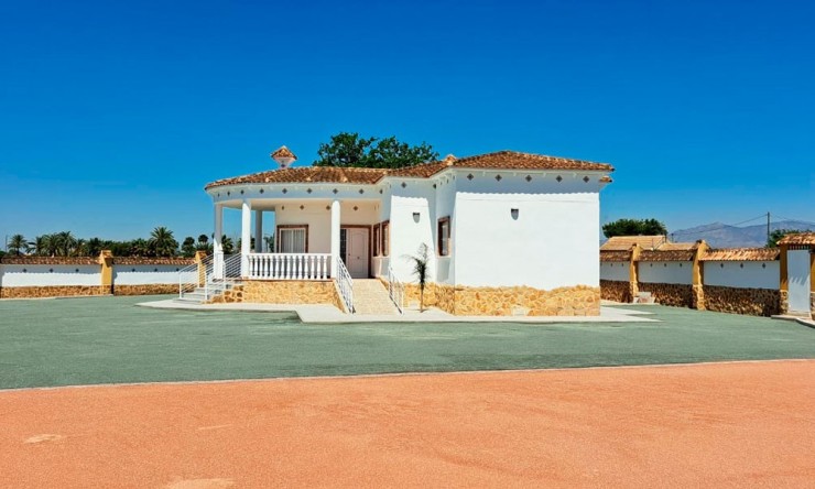 Videresalg - Land Eiendom - Catral - Catral - Felt