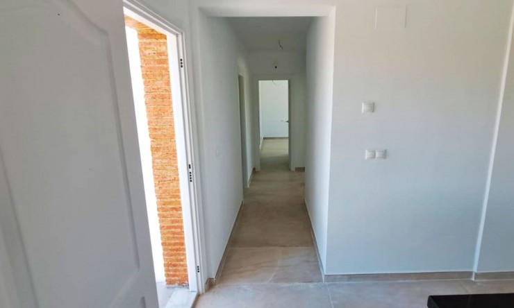 Nye - Land Eiendom - Catral - Catral - Felt