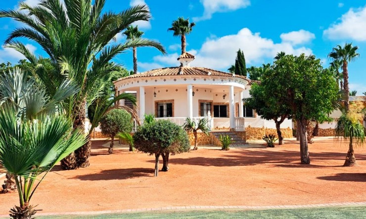 New - Country Property - Catral - Catral - Country