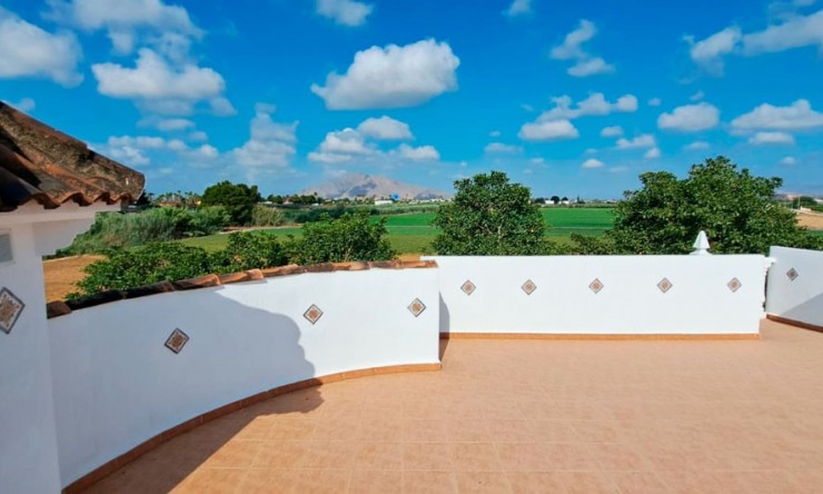 New - Country Property - Catral - Catral - Country