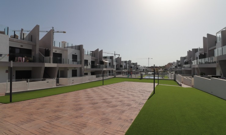 Rental - Apartment - San Miguel de Salinas - San Miguel - Town