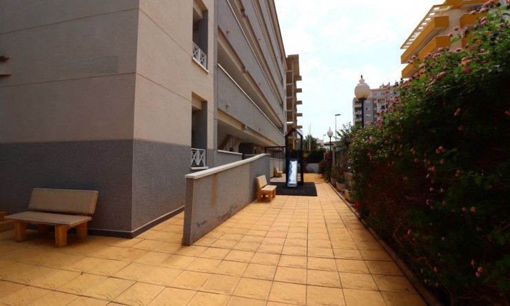 Re-Sale - Apartment - Guardamar del Segura - Guardamar del Segura - Town
