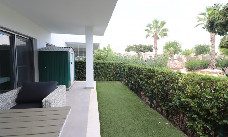 Rental - Apartment - Los Montesinos - Entre Naranjos / Vistabella Golf