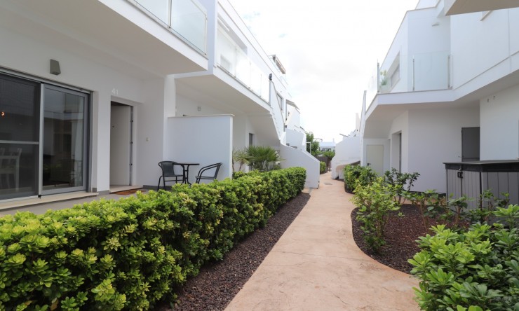 Rental - Apartment - Los Montesinos - Entre Naranjos / Vistabella Golf