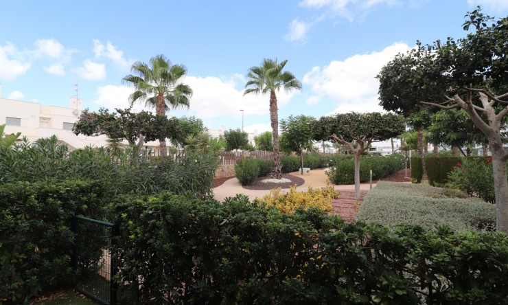 Rental - Apartment - Los Montesinos - Entre Naranjos / Vistabella Golf