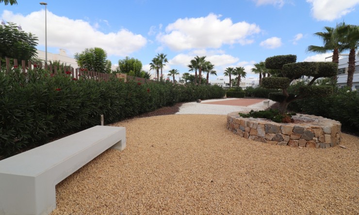 Rental - Apartment - Los Montesinos - Entre Naranjos / Vistabella Golf