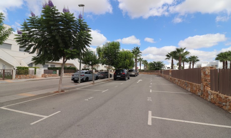 Rental - Apartment - Los Montesinos - Entre Naranjos / Vistabella Golf