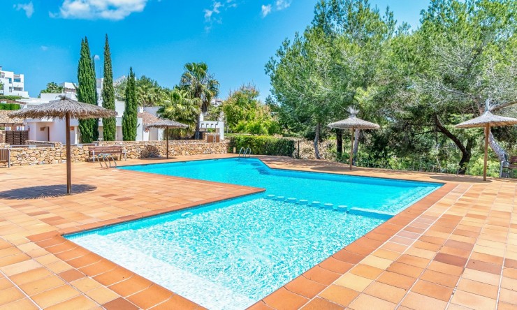 Wederverkoop - Appartement - Las Colinas Golf Resort