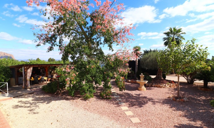 Re-Sale - Country Property - Orihuela - La Campaneta