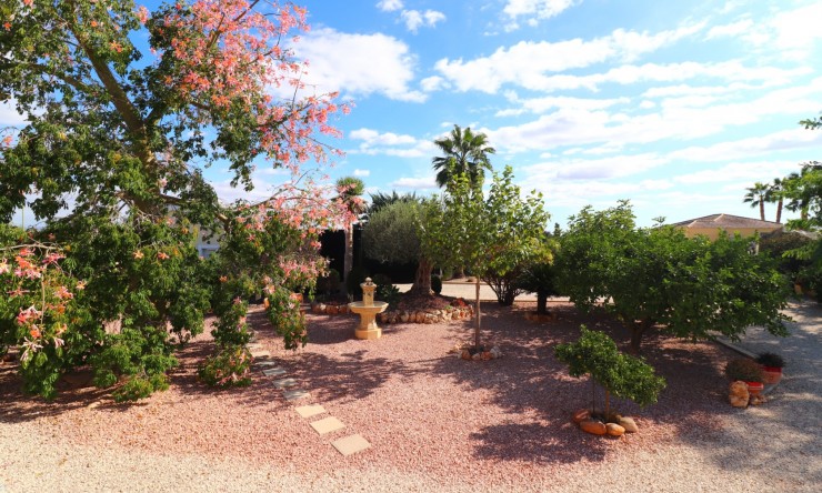 Re-Sale - Country Property - Orihuela - La Campaneta