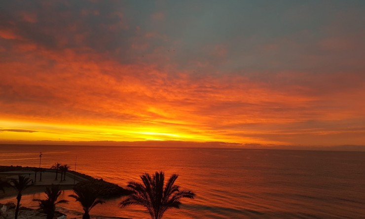 Re-Sale - Apartment - Torrevieja - Playa Del Cura