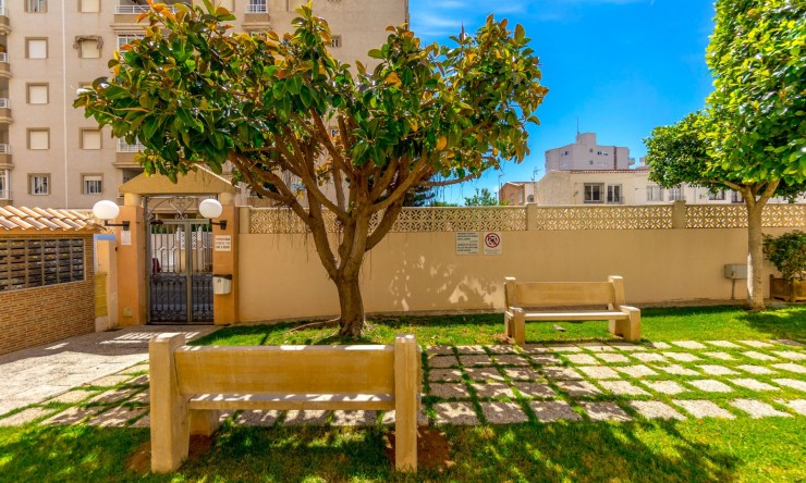 Re-Sale - Apartment - Torrevieja - Torrevieja - Centre