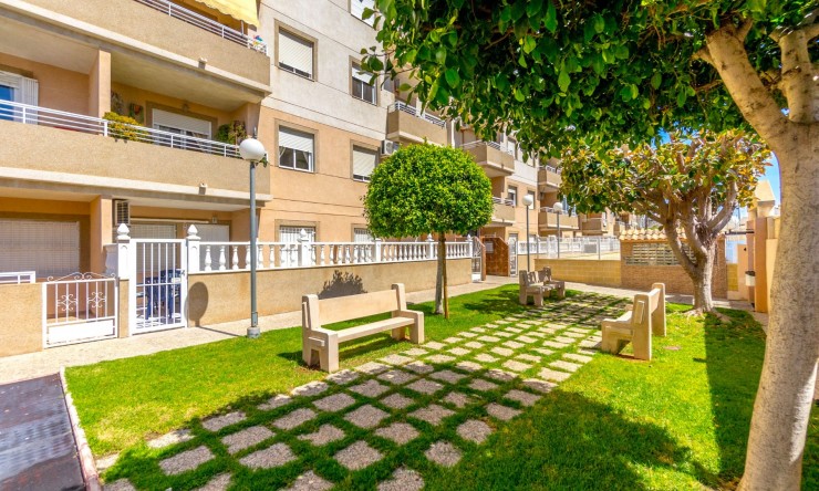 Re-Sale - Apartment - Torrevieja - Torrevieja - Centre