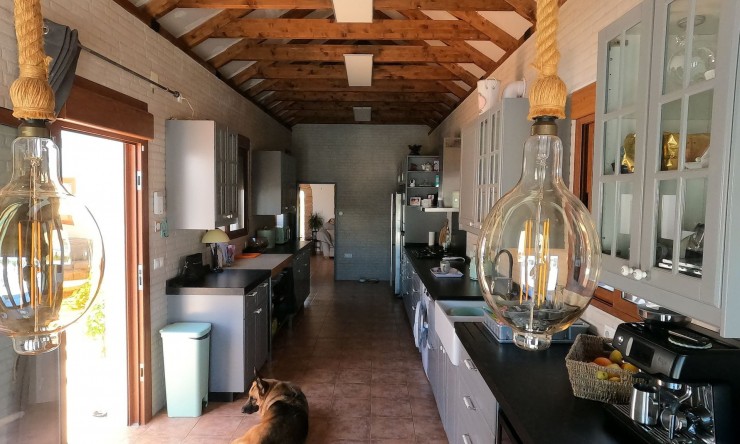 Re-Sale - Detached Villa - Jacarilla - Jacarilla - Country