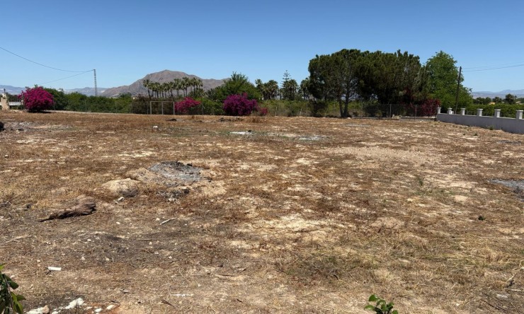 Re-Sale - Detached Villa - Jacarilla - Jacarilla - Country