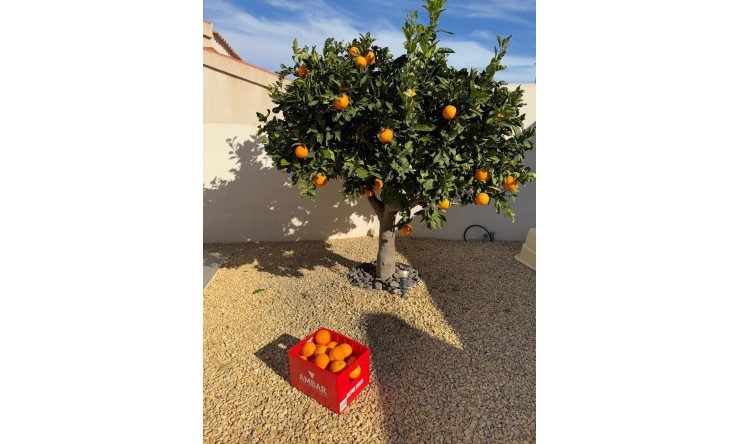 Re-Sale - Detached Villa - Ciudad Quesada - La Marquesa