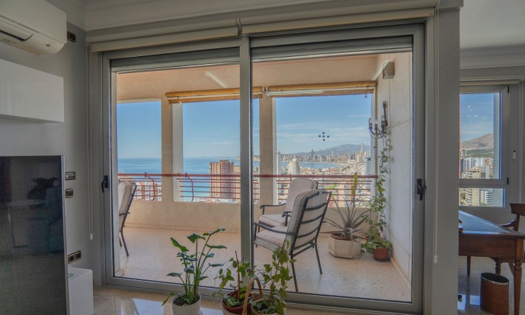 Re-Sale - Apartment - Benidorm - Benidorm - City