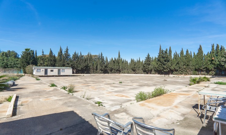 Re-Sale - Country Property - Los Montesinos - Los Montesinos - Country