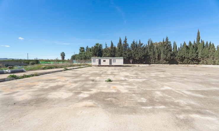 Re-Sale - Country Property - Los Montesinos - Los Montesinos - Country