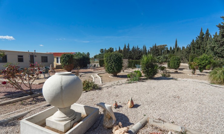 Re-Sale - Country Property - Los Montesinos - Los Montesinos - Country