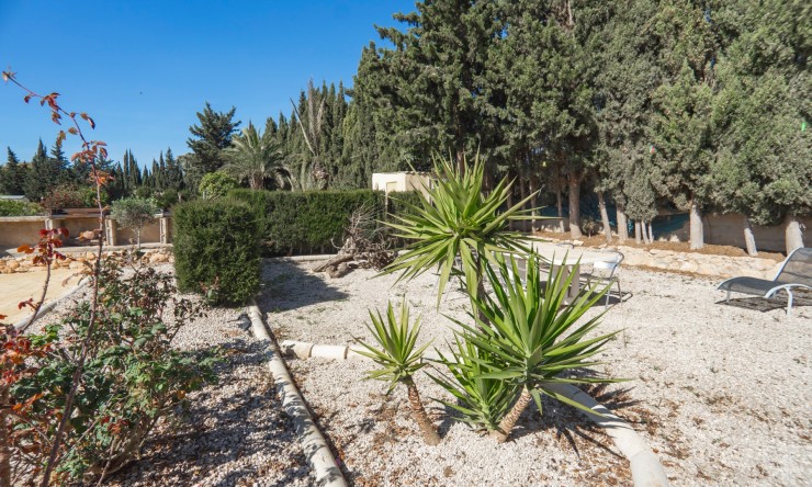 Re-Sale - Country Property - Los Montesinos - Los Montesinos - Country