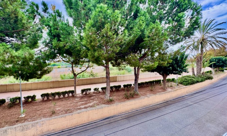 Re-Sale - Apartment - Formentera del Segura - Formentera - Village