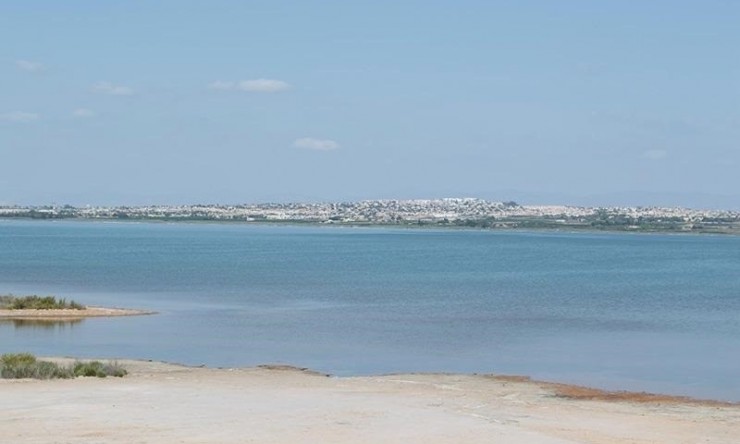 Re-Sale - Apartment - La Mata - La Mata - Town