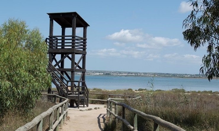 Re-Sale - Apartment - La Mata - La Mata - Town