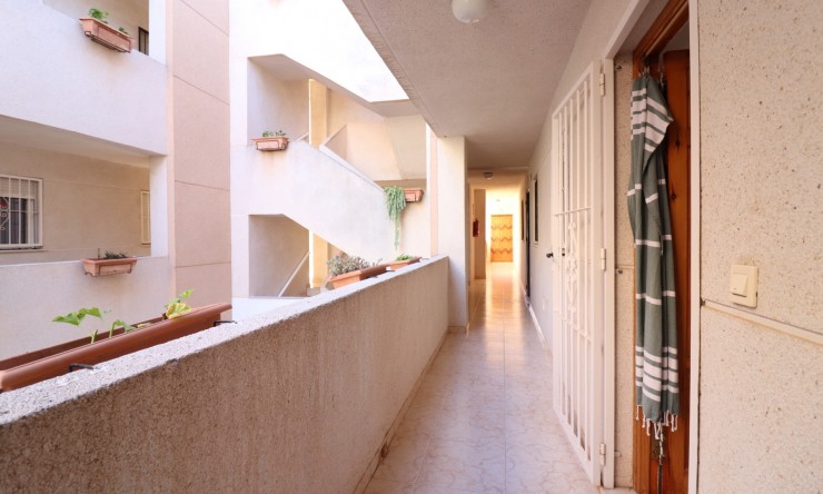 Re-Sale - Apartment - Torrevieja - San Luis