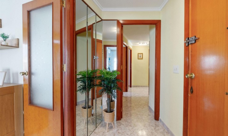 Re-Sale - Apartment - Torrevieja - Torrevieja - Centre