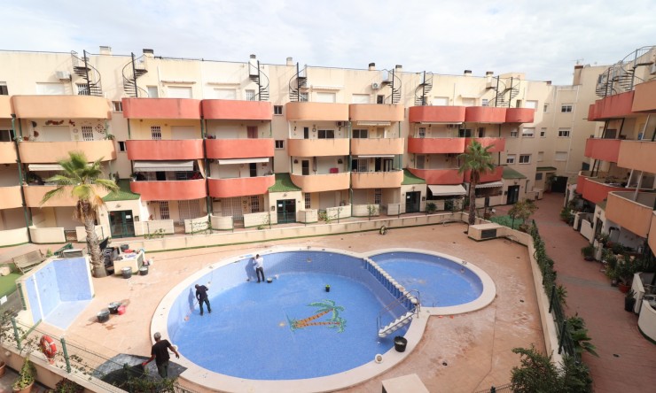 Rental - Apartment - Almoradi - Almoradi - Town