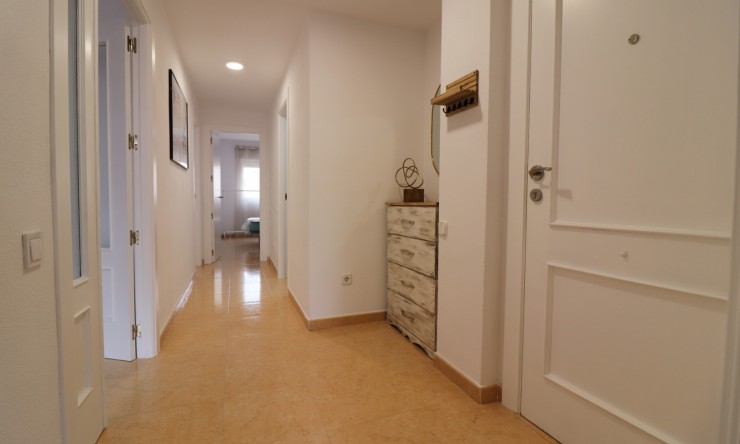 Rental - Apartment - Almoradi - Almoradi - Town
