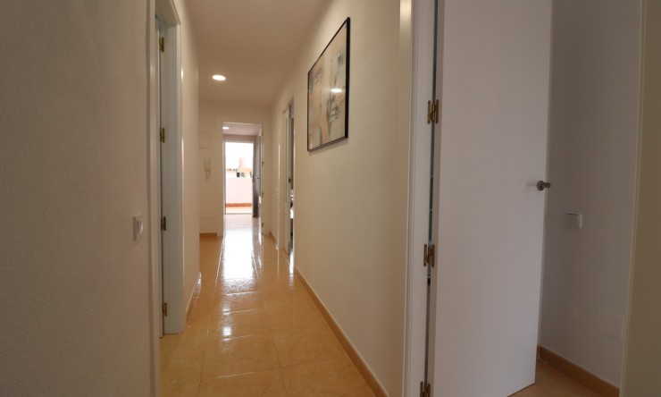 Rental - Apartment - Almoradi - Almoradi - Town