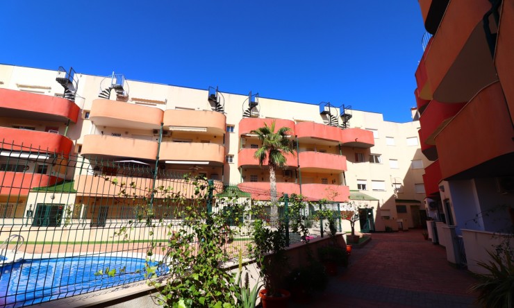 Rental - Apartment - Almoradi - Almoradi - Town