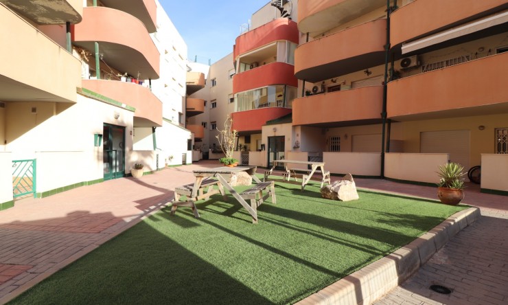 Rental - Apartment - Almoradi - Almoradi - Town