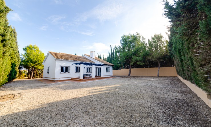 New - Detached Villa - Fuente Álamo - Fuente Alamo