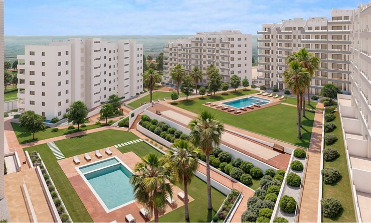 New - Apartment - San Miguel de Salinas - San Miguel - Town