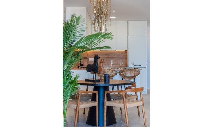 New - Apartment - Benijofar - Benijofar - Village