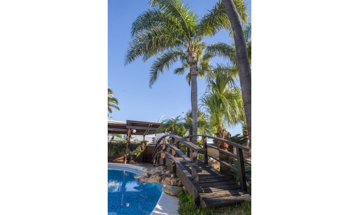 New - Detached Villa - San Pedro del Pinatar - San Pedro del Pinatar - Town