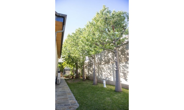 New - Detached Villa - San Pedro del Pinatar - San Pedro del Pinatar - Town