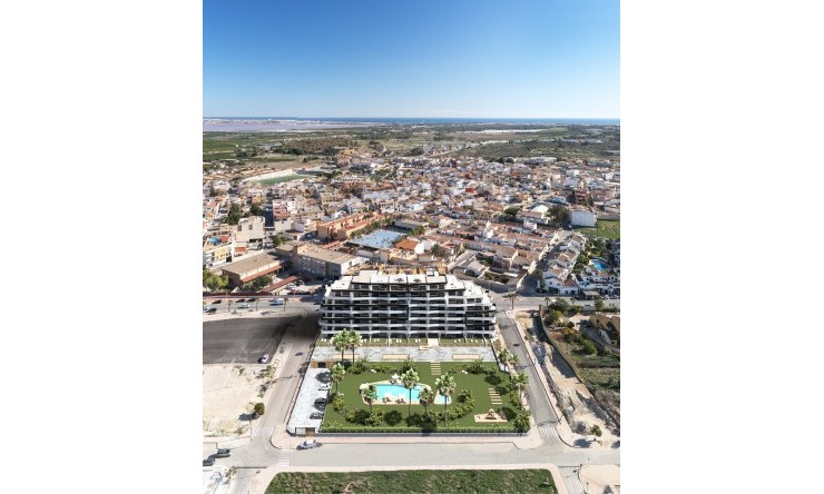 New - Apartment - San Miguel de Salinas - San Miguel - Town