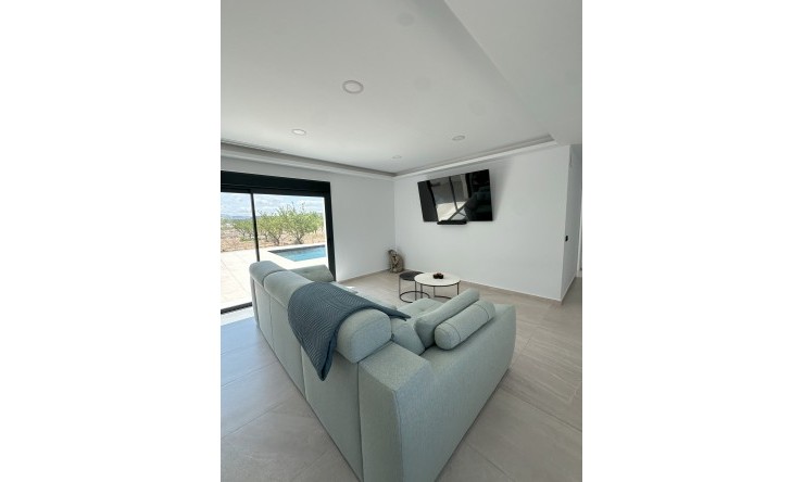 New - Detached Villa - Pinoso - Pinoso - Country