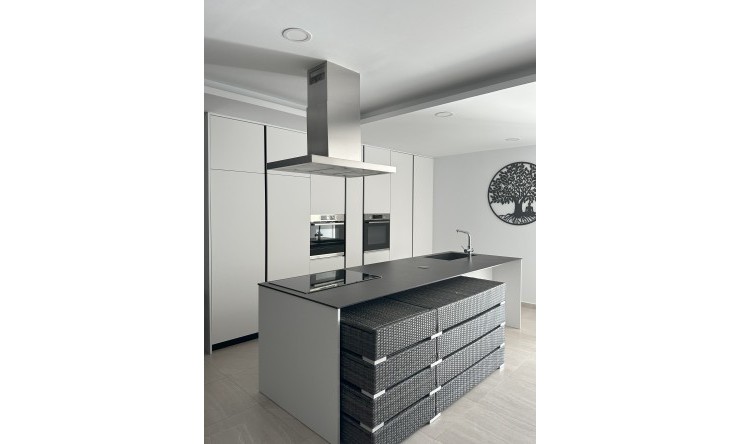 New - Detached Villa - Pinoso - Pinoso - Country