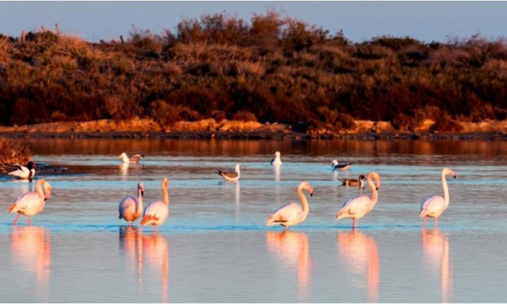 New - Detached Villa - San Pedro del Pinatar - San Pedro del Pinatar - Town