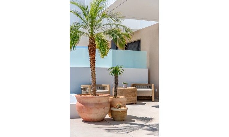 New - Townhouse - Dolores