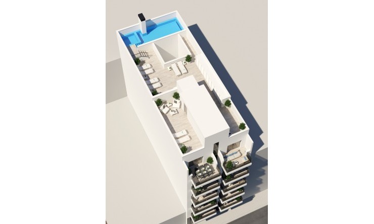 Nueva - Apartamento - Torrevieja