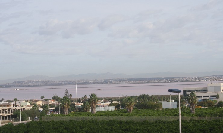 Nueva - Adosado - Torrevieja