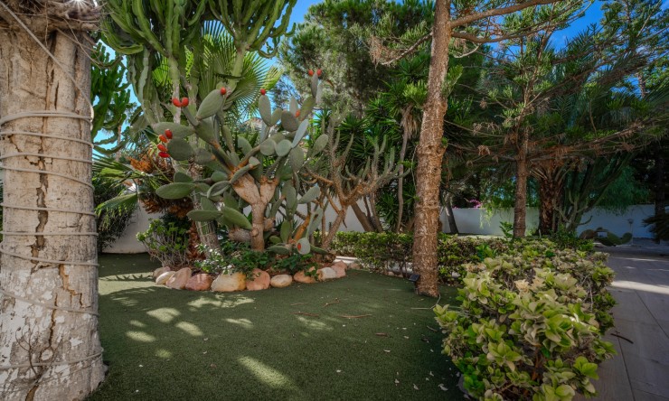 Re-Sale - Detached Villa - Ciudad Quesada - Doña Pepa