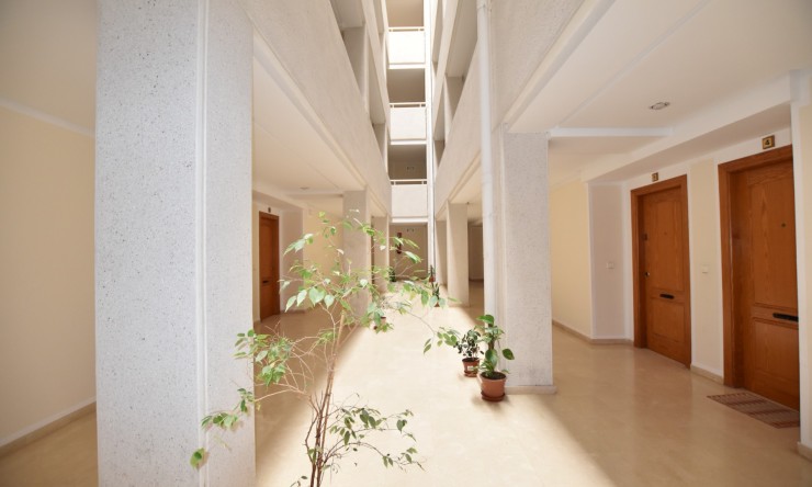 Re-Sale - Apartment - La Mata - La Mata - Town