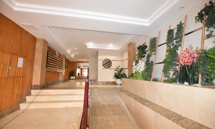 Re-Sale - Apartment - La Mata - La Mata - Town